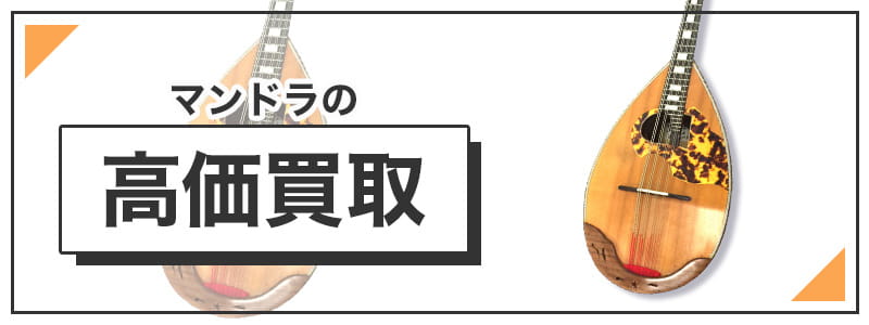 マンドラの高価買取
